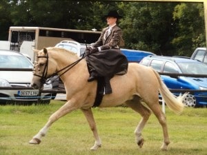Palomares D'Oro with Michelle Enoch sidesaddle spanish tack-extended trot