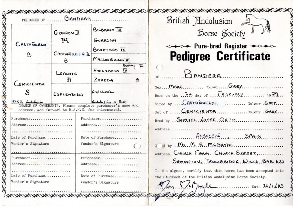 Passport and Documents Examples Library The British Association for
