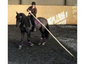 Jascal ridden with Garrocha pole